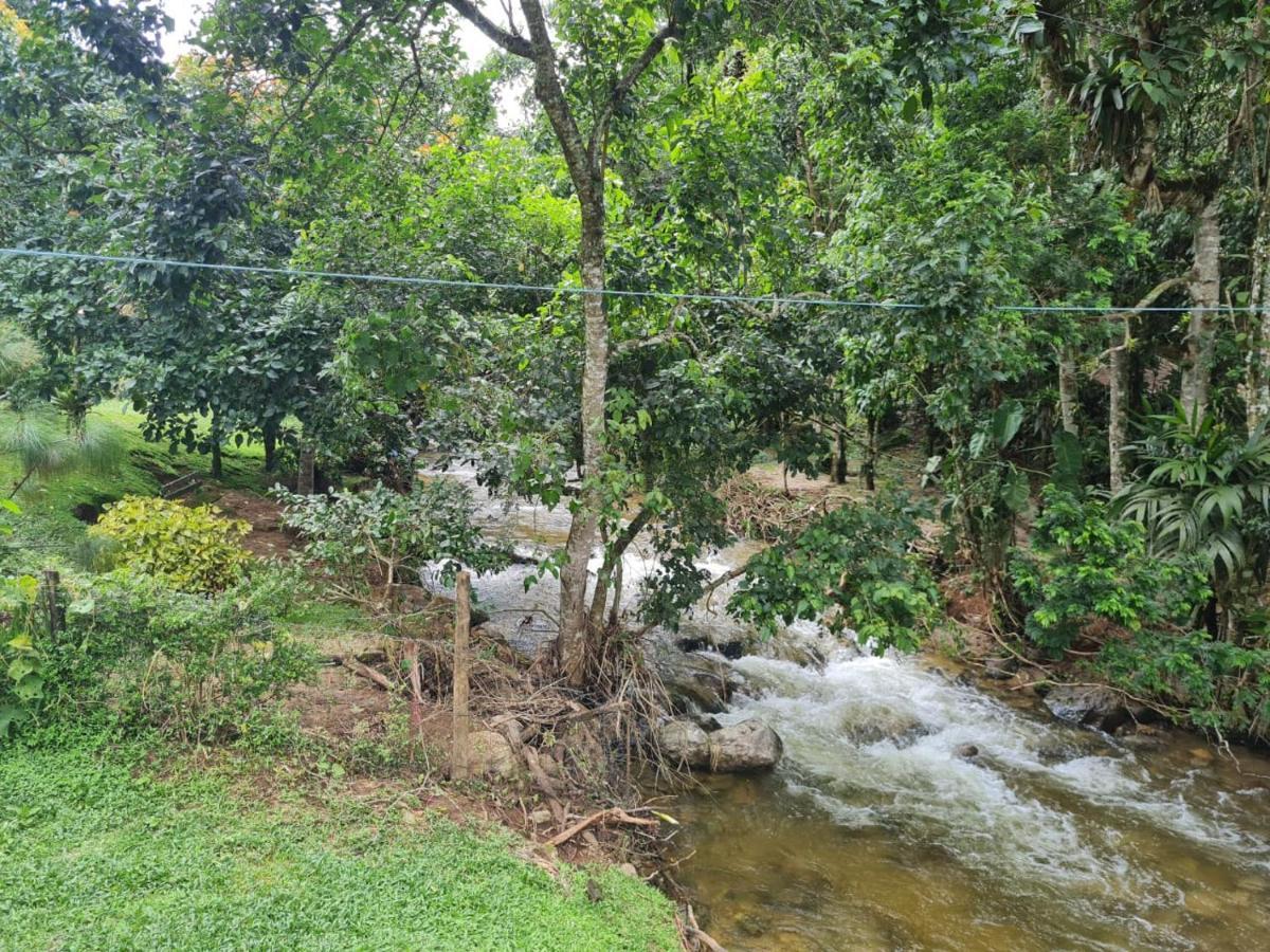 ויסקונדה דה מאווה Chale Rustico Truta Da Floresta 3 מראה חיצוני תמונה