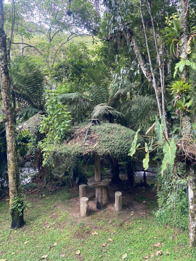ויסקונדה דה מאווה Chale Rustico Truta Da Floresta 3 מראה חיצוני תמונה